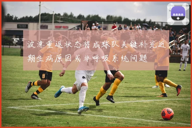 波津重返状态将成球队关键补充近期生病原因或非呼吸系统问题